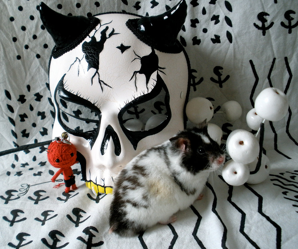 Pet Accessories